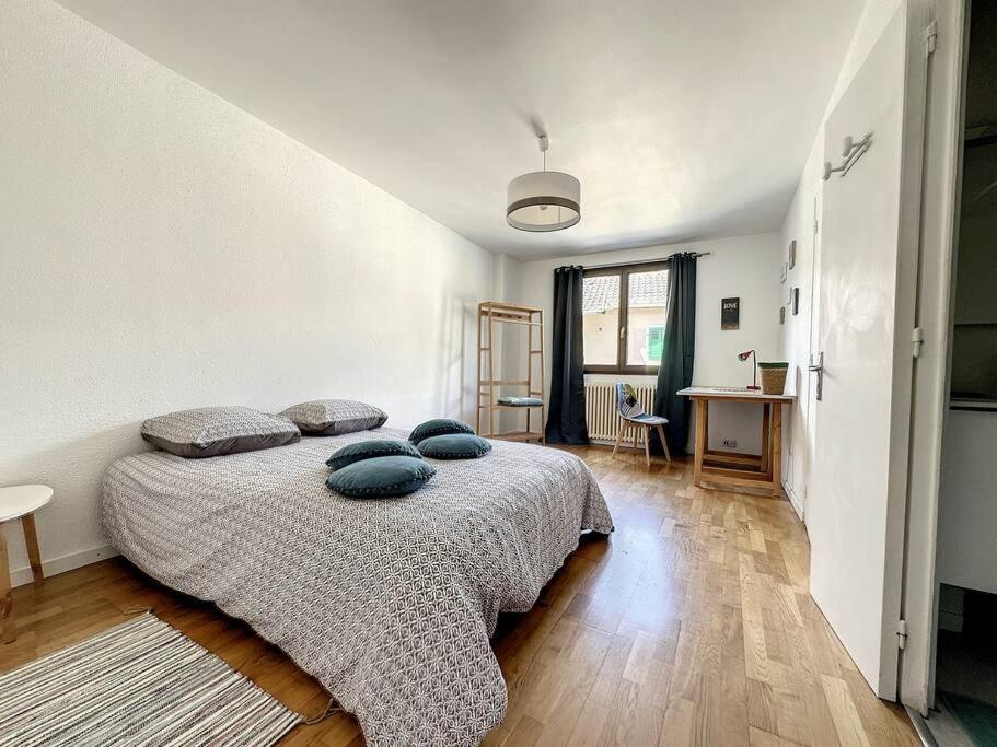 Apartment A 6 Mns De La Station De Crozet, Proche Geneve